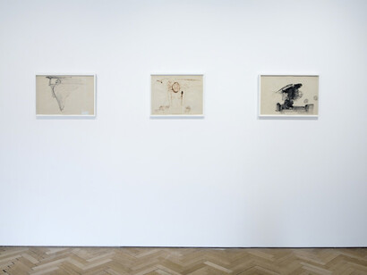 By His Will We Teach Birds How To Fly. Courtesy of Vigo Gallery