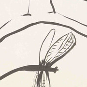 Wild Thing. Courtesy of Aargauer Kunsthaus 