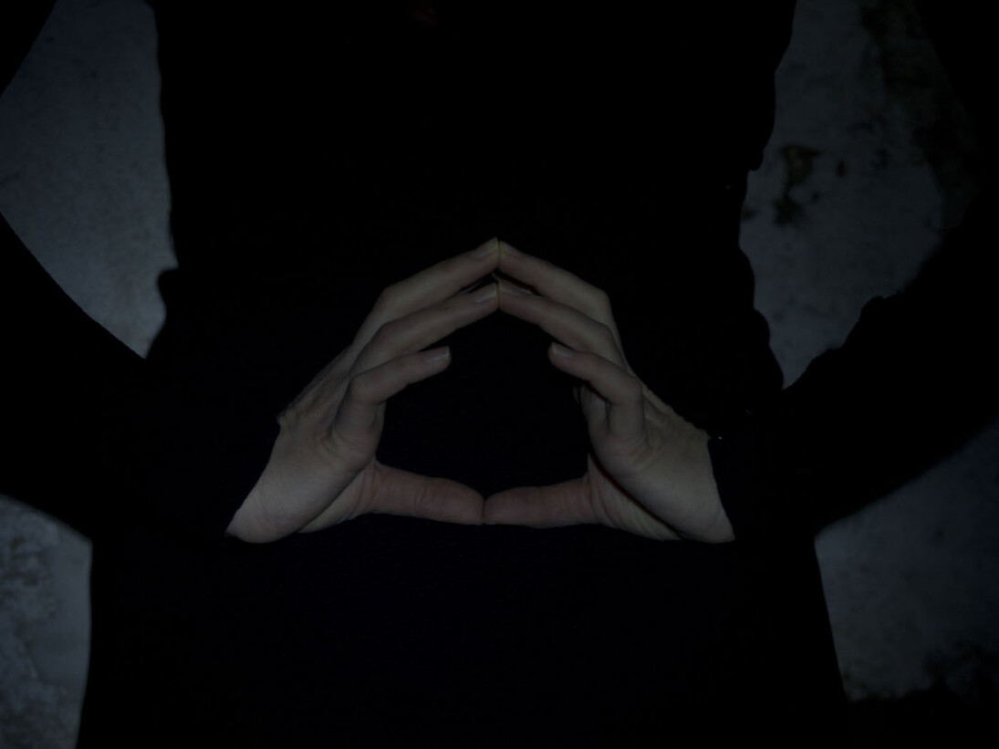 Roberta Segata, Il buio oltre la siepe, 2015