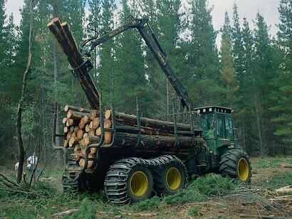 Arauco, comunidades contra las empresas forestales