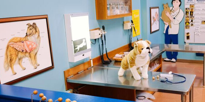 Pet Hospital. Courtesy of Portland Children's Museum
