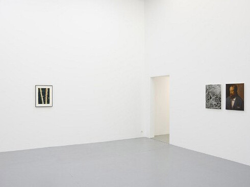 Jan De Maesschalck. Courtesy of Zeno X Gallery