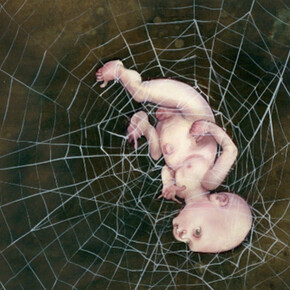 Anita Kunz. Courtesy of Ro2 Art