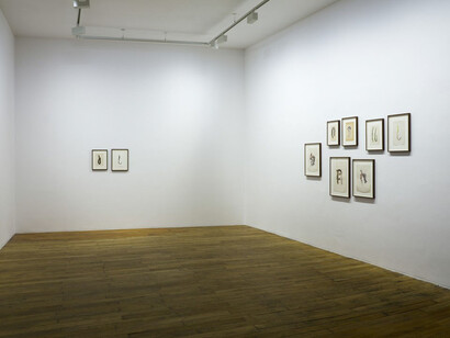 If and Only If. Courtesy of Galerie Chantal Crousel