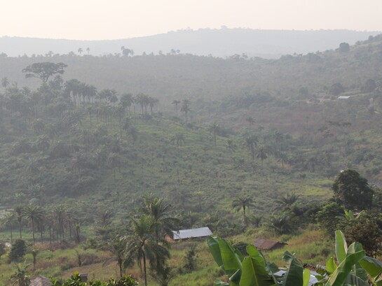 La localidad rural de Masi Manimba está situada a unos 400 kilómetros de Kinshasa. Aunque parece un lugar precioso, al igual que gran parte de la RDC, Masi Manimba es una zona rural remota y empobrecida. A pesar de contar con tierras muy fértiles, la producción agrícola de alimentos es limitada, y la desnutrición aguda constituye un grave problema de salud pública en todo el país. Provincia de Bandundu, República Democrática del Congo