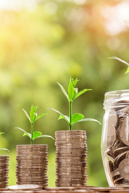 Coins growing leaf representing time