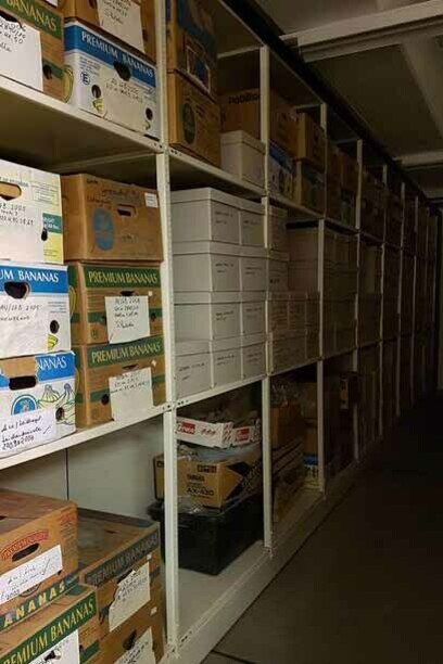 The Dead, as far as [ ] can remember. Courtesy of Tieranatomisches Theater