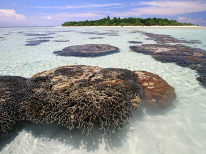 Scorcio dell'atollo di Sangalaki