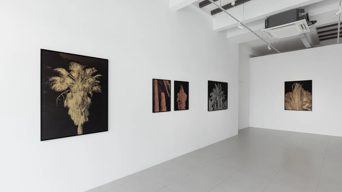 Mehdi-Georges Lahlou, The conference of the palm trees, exhibition view. Courtesy of Cuturi Gallery