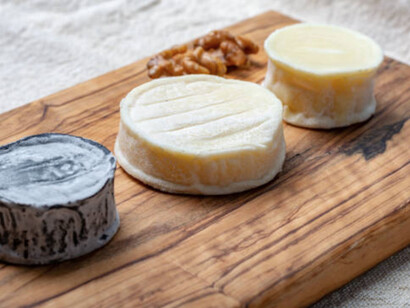 Il formaggio di capra Cabécou du Périgord della Dordogna, sud della Francia 