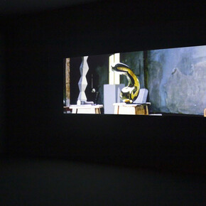 Tandem. Courtesy of Alexander and Bonin Gallery
