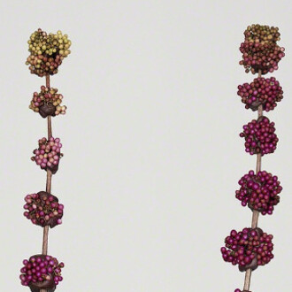 Bownik. Courtesy of The Ravestijn Gallery