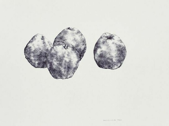 Cai Jin, Pear No. 4, 2012, Ballpoint pen on paper, 21 1/4 x 30 3/4 in (54 x 78 cm). Courtesy of the artist and Chambers Fine Art