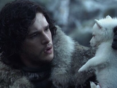 En la serie, los lobos huargos juegan un papel menor