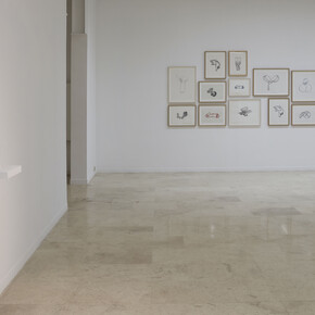 Ana Prada. Courtesy of Helga de Alvear