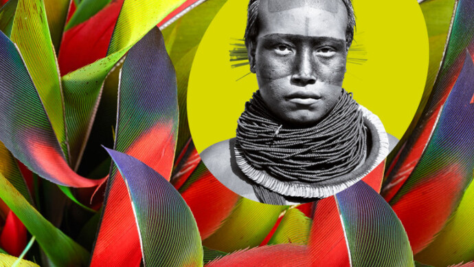 Amazonie. Courtesy of Pointe-à-Callière