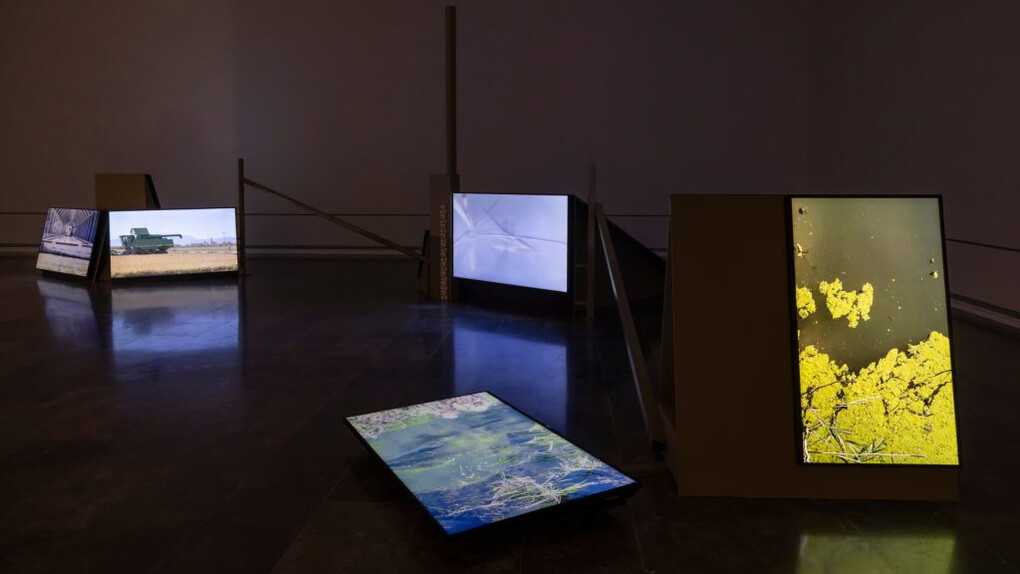 Various artists, The albufera, exhibition view. Courtesy of IVAM