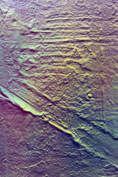 Alan Sastre, Babble #15 (2015), Acrylic on canvas, 27 x 22 cm
