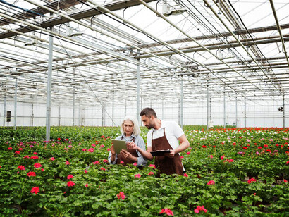 From lab to land: research like this helps bridge the gap between scientific discovery and practical solutions for protecting plant diversity and its vital role in the ecosystem