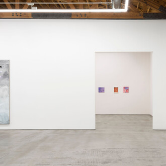 Emma McIntyre, Aragonite and conchiolin, exhibition view. Courtesy of Château Shatto