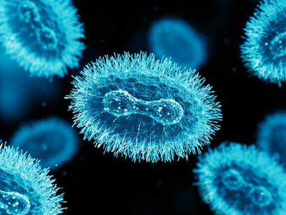 Virus de la viruela de simio bajo el microscopio