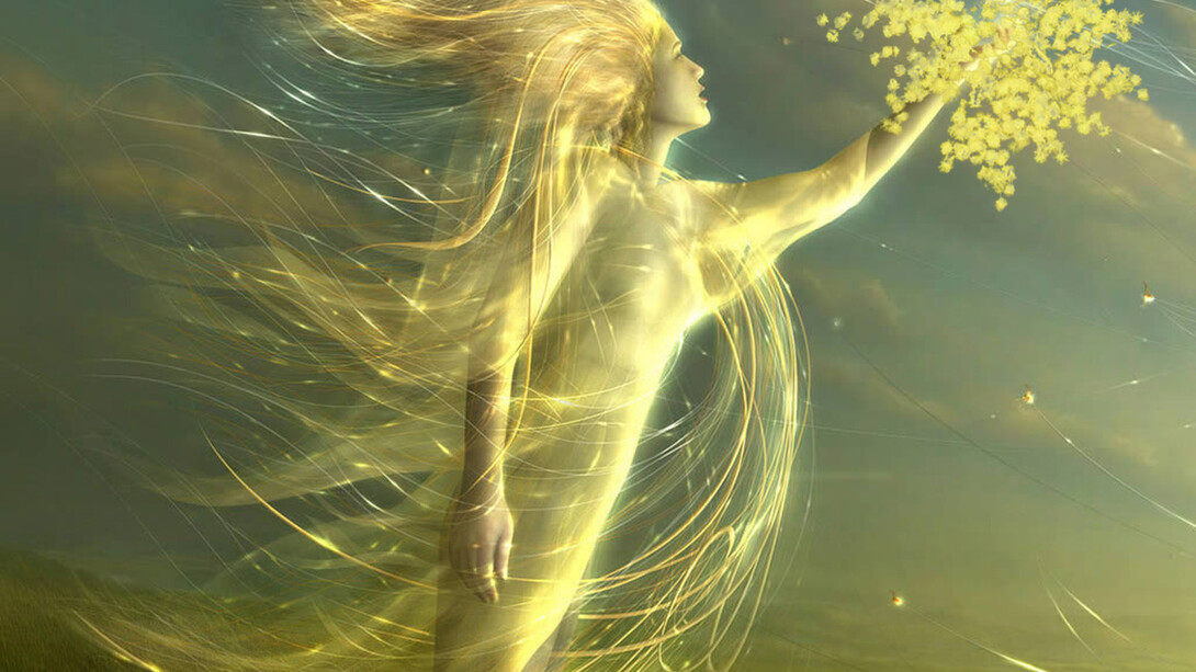 La Festa della Donna nell'Universo