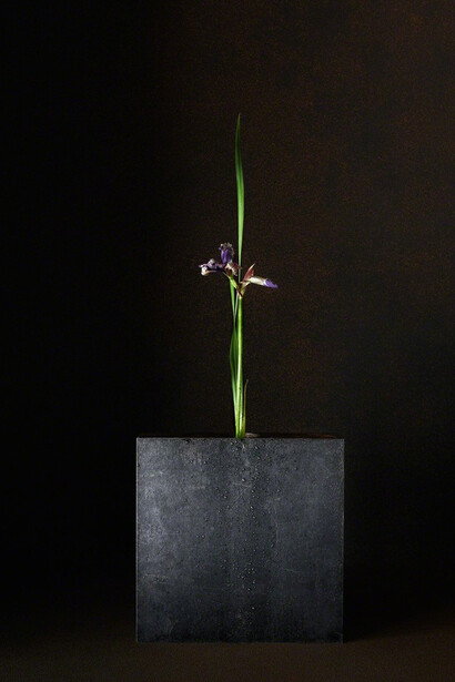 A Stage. Courtesy of Galerie marie-robin