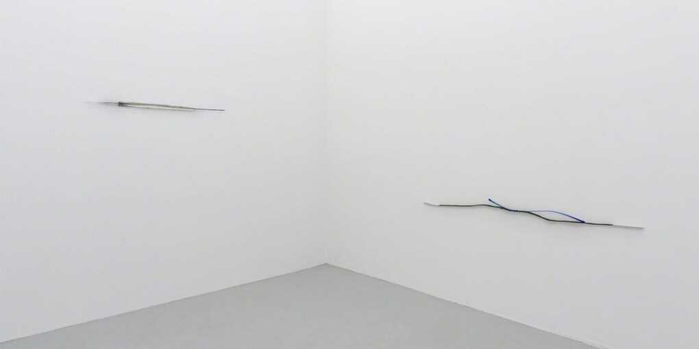 Alice Cattaneo. Courtesy of Galerie Hubert Winter