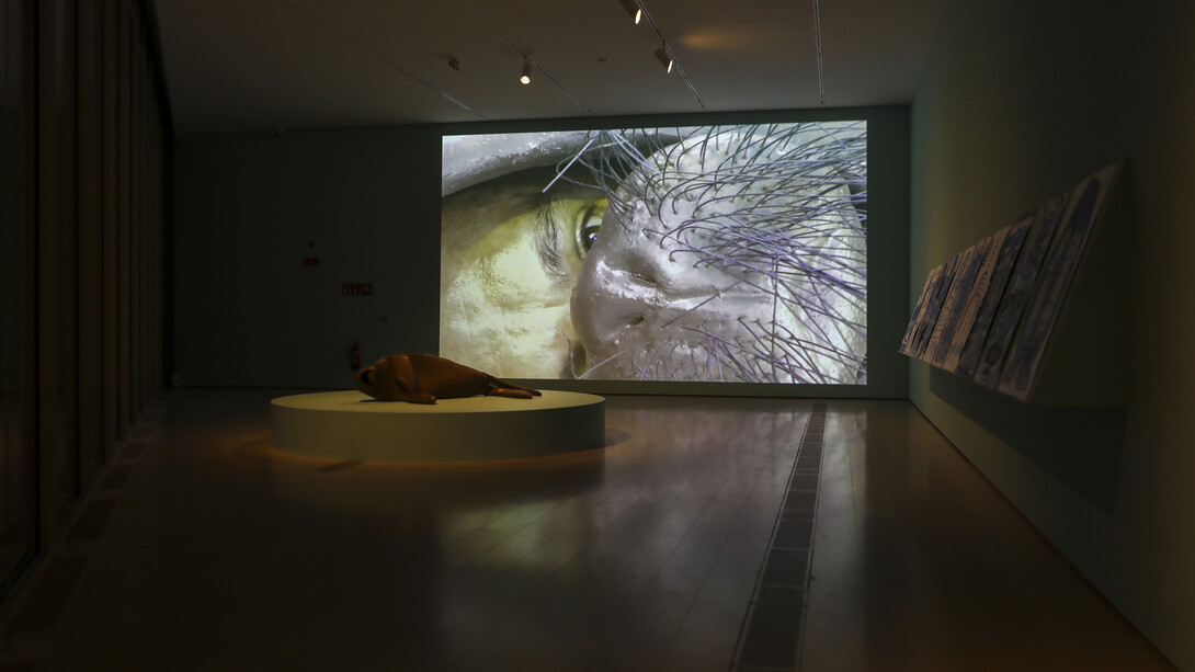 Varios artistas, Itinerarios XXX, vista de exhibición. Cortesía del Centro Botín