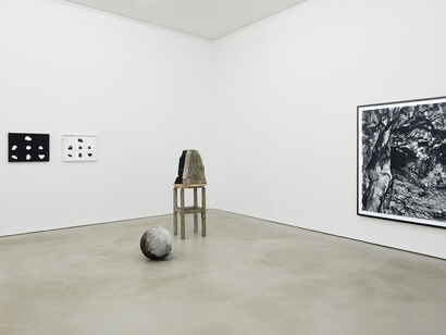 A Snowflake, Exhibition view. Courtesy of Kukje Gallery