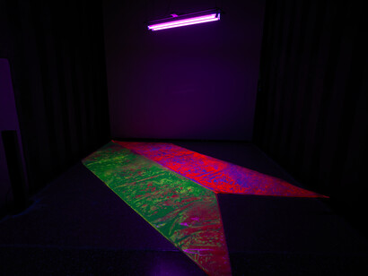 Alberto Biasi. Orizzontale Ellebi