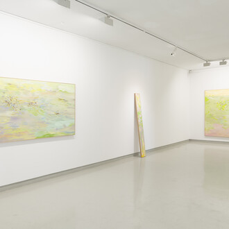 Jiŏn Kiim, Grass pillow, vista da exposição. Cortesia da Galeria Presença