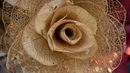 Ferias artesanales en Brasil. Flor de cerrado