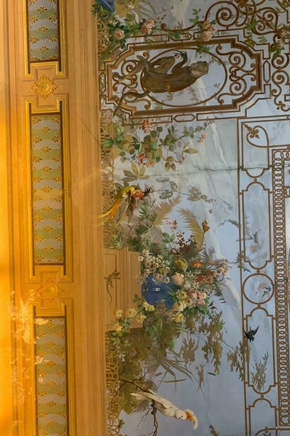 Particolare della Volta della Sala del vestibolo, detta dei Pappagalli (foto Roberto Luciani)