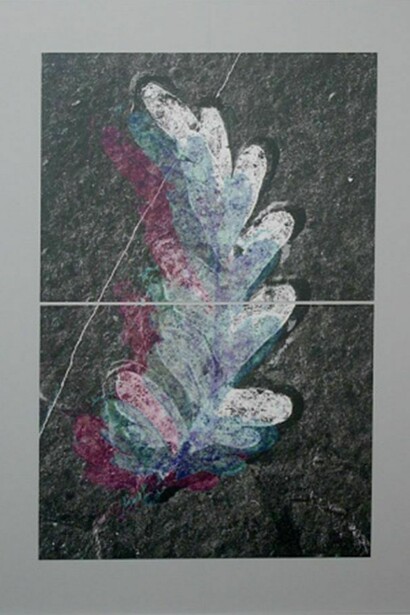 Ian Pedigo, Your Dreams in Sediment, 2014, Archival inkjet print on canvas mounted on primed board, 44 x 32 inches