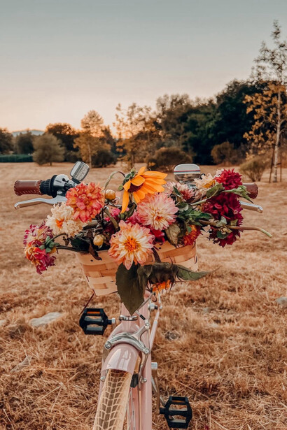 Miquela Raiche, Harvest pedals, 2022. Courtesy of 1202 Contemporary