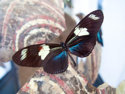 Fractured Images. Courtesy of Kristin Hjellegjerde Gallery