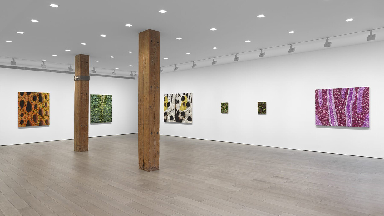 Douglas Melini, Under your skin and over the moon, exhibition view. Courtesy of Miles McEnery Gallery