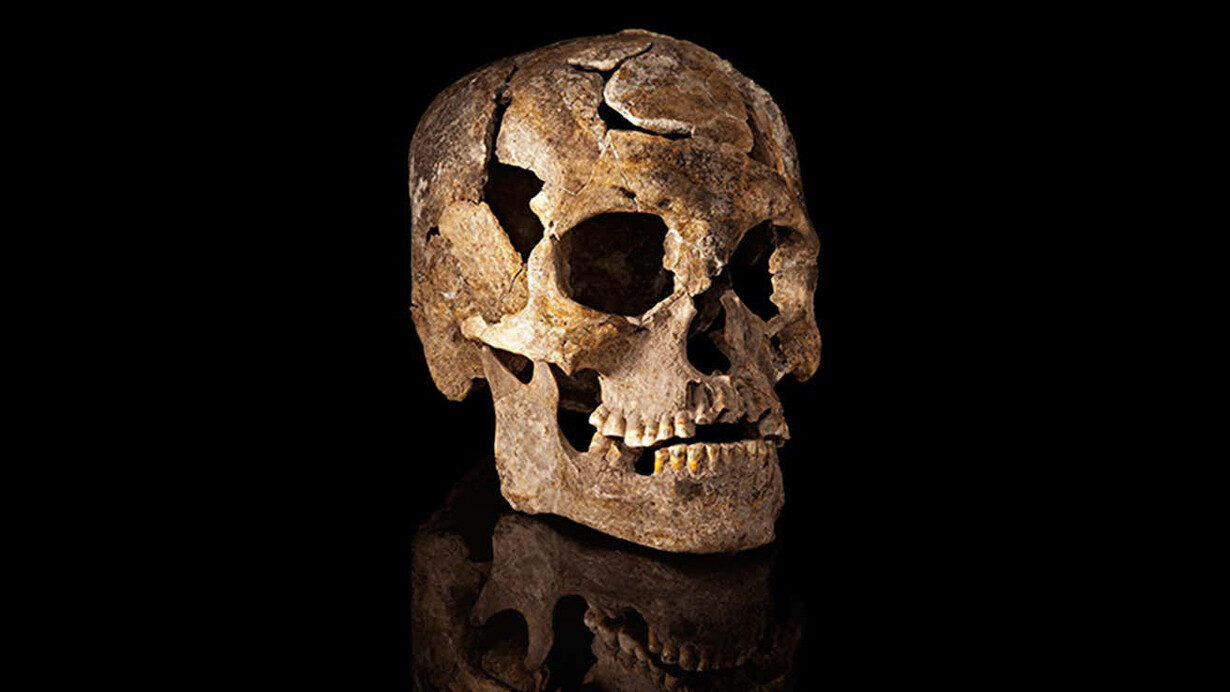 El cráneo es un símbolo que recuerda a los seres humanos la inevitabilidad de la muerte