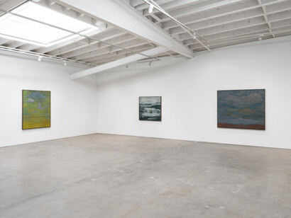 Shota Nakamura, Apple, exhibition view. Courtesy of Karma Gallery