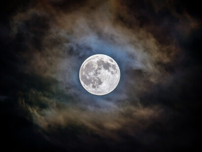 At night I open the window and ask the moon to come