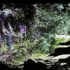 Shinwook Kim, The grass messenger