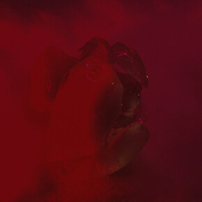 Przemek Dzienis, Pureview. Courtesy of Leica 6x7 Gallery