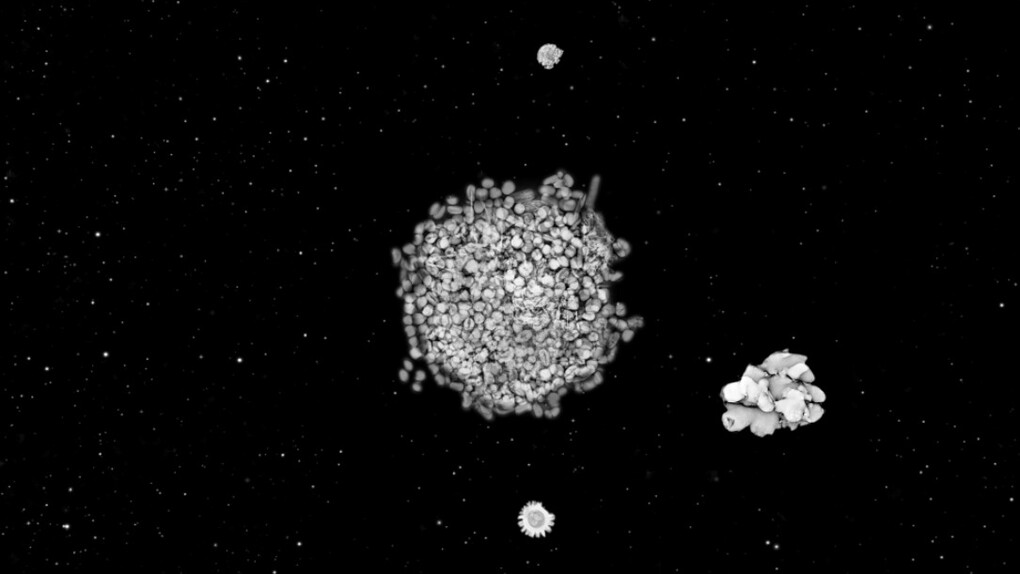 Jitish Kallat, Forensic Trail of the Grand Banquet, 2009, single channel video, Projection or screen, variable dimensions, ed 5 + 1AP, Courtesy Galerie Daniel Templon, Paris. © Jitish Kallat
