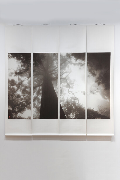 Michael Cherney, Light and grain 秋麦, exhibition view. Courtesy of Fu Qiumeng Fine Art