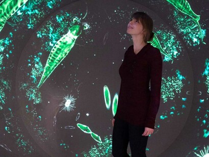 Flüsse, ausstellungsansicht. Mit freundlicher genehmigung des Senckenberg Naturmuseums
