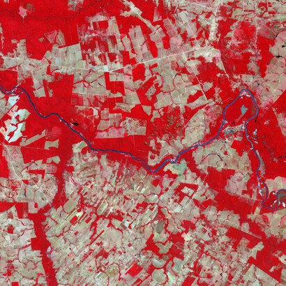 Detalle de imagen satelital tomada por el Observatorio de la Tierra de la NASA en 2006 para dar cuenta del proceso de deforestación en el Mato Grosso