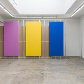 Haim Steinbach. Courtesy of Tanya Bonakdar Gallery