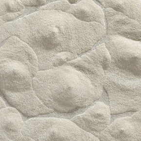 Fu Xiaotong. Courtesy of Chambers Fine Art