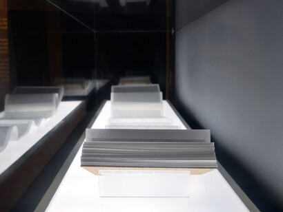 Xin Liu. Courtesy of MAD Museum